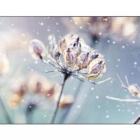 Pantalla Profesional Videowall SAMSUNG LH46VMRUBGB , 46 pulgadas, 1920 x 1080 Pixeles, 8 ms