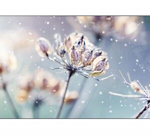 Pantalla Profesional Videowall SAMSUNG LH46VMRUBGB , 46 pulgadas, 1920 x 1080 Pixeles, 8 ms