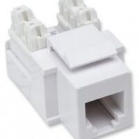 Keystone Jack INTELLINET, De plástico, Color blanco